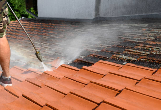 Best Concrete Pressure Washing  in Sioux Center, IA