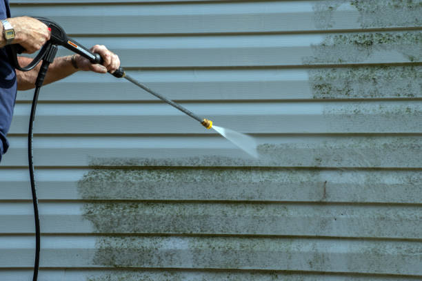 Best Exterior Home Cleaning  in Sioux Center, IA